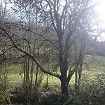 Rurales Vega De Llan