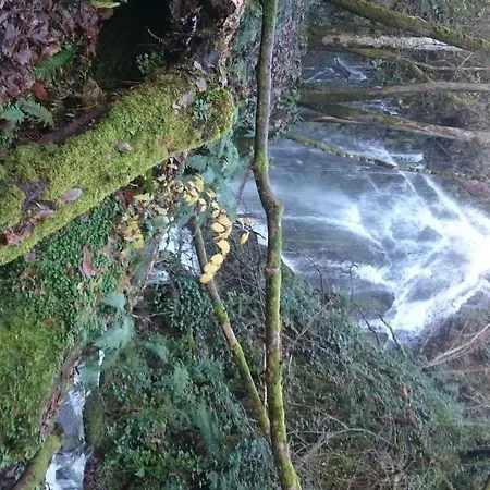 Rurales Vega De Llan